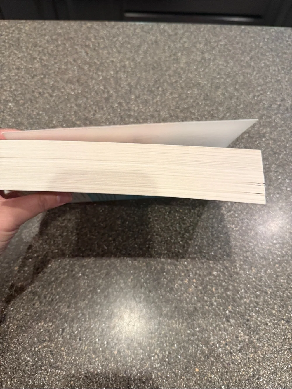 Jandy Nelson When the World Tips Over - Colorful Paperback Book
